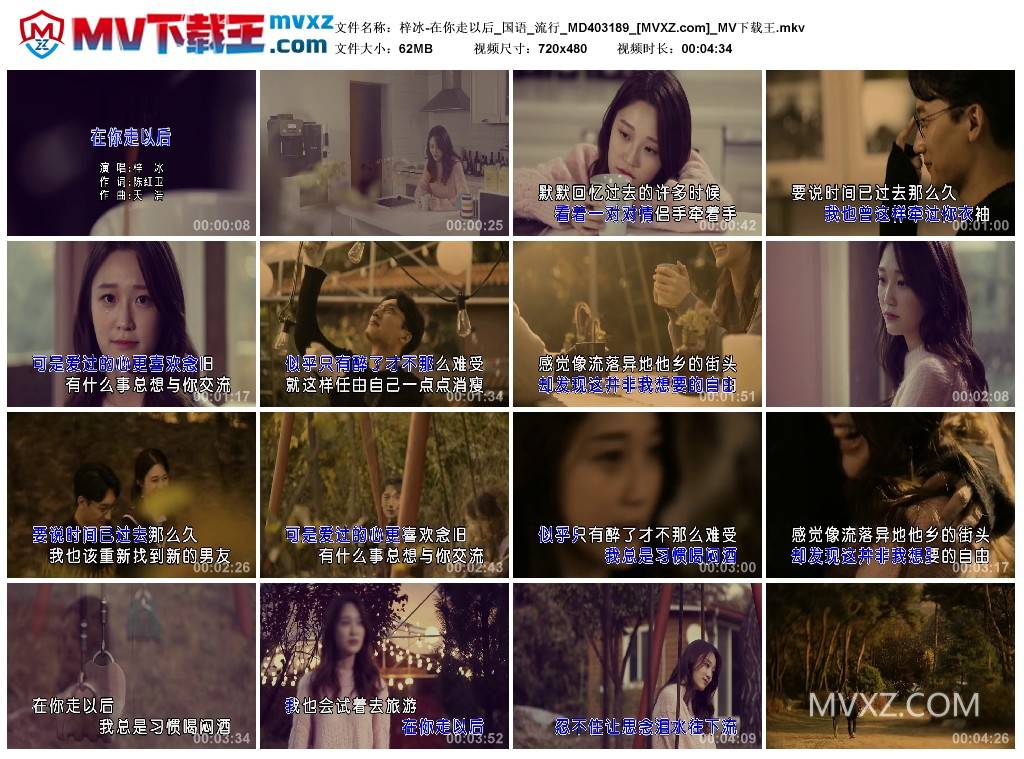 梓冰-在你走以后_国语_流行_MD403189